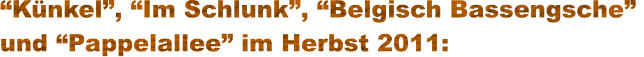 “Künkel”, “Im Schlunk”, “Belgisch Bassengsche”  und “Pappelallee” im Herbst 2011: