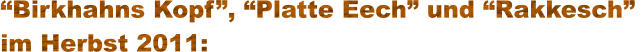“Birkhahns Kopf”, “Platte Eech” und “Rakkesch”  im Herbst 2011: