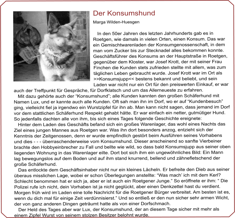 Der Konsumshund  Marga Wilden-Huesgen     In den 50er Jahren des letzten Jahrhunderts gab es in Roetgen, wie damals in vielen Orten, einen Konsum. Das war ein Gemischtwarenladen der Konsumgenossenschaft, in dem man vom Zucker bis zur Stecknadel alles bekommen konnte. Geschäftsführer des Konsums an der Hauptstraße in Roetgen, gegenüber dem Kloster, war Josef Krott, der mit seiner Frau Finchen die Kunden stets zufrieden stellte mit allem, was zum täglichen Leben gebraucht wurde. Josef Krott war im Ort als >>Konsumsjupp<< bestens bekannt und beliebt, und sein Laden war nicht nur ein Ort für den preiswerten Einkauf, er war auch der Treffpunkt für Gespräche, für Dorfklatsch und um das Allerneueste zu erfahren.      Mit dazu gehörte auch der “Konsumshund”; alle Kunden kannten den großen Schäferhund mit Namen Lux, und er kannte auch alle Kunden. Oft sah man ihn im Dorf, wo er auf “Kundenbesuch” ging, vielleicht fiel ja irgendwo ein Wurstzipfel für ihn ab. Man kann nicht sagen, dass jemand im Dorf vor dem stattlichen Schäferhund Respekt gehabt hätte. Er war einfach ein netter, gutmütiger Hund. So jedenfalls dachten alle von ihm, bis sich eines Tages folgende Geschichte ereignete:    Hinter dem Laden des Geschäfts befand sich ein großes Warenlager, das wohl eines Nachts das Ziel eines jungen Mannes aus Roetgen war. Was ihn dort besonders anzog, entzieht sich der Kenntnis der Zeitgenossen, denn er wurde empfindlich gestört beim Ausführen seines Vorhabens und dies - - - überraschenderweise vom Konsumshund. Dieser anscheinend so sanfte Vierbeiner brachte den Hobbyeinbrecher zu Fall und bellte wie wild, so dass bald Konsumsjupp aus seiner oben liegenden Wohnung in das Warenlager eilte. Dort bot sich ihm ein ungewöhnliches Bild: Ein Mann lag bewegungslos auf dem Boden und auf ihm stand knurrend, bellend und zähnefletschend der große Schäferhund.    Das entlockte dem Geschäftsinhaber nicht nur ein kleines Lächeln. Er befreite den Dieb aus seiner überaus misslichen Lage, wobei er schon Überlegungen anstellte: “Was mach’ ich mit dem Kerl? Schlecht benommen hat er sich ja, aber er ist auch ein Roetgener Junge.” So eröffnete er ihm: “ Die Polizei rufe ich nicht, dein Vorhaben ist ja nicht geglückt, aber einen Denkzettel hast du verdient. Morgen früh wird im Laden eine tolle Nachricht für die Roetgener Bürger verbreitet. Am besten ist es, wenn du dich mal für einige Zeit verdünnisierst.” Und so entließ er den nun sicher sehr armen Wicht, der von ganz anderen Dingen geträumt hatte als von einer Dorfschmach.    Der Held des Tages aber war Lux, der Konsumshund, der an diesem Tage sicher mit mehr als einem Zipfel Wurst von seinem stolzen Besitzer belohnt wurde.